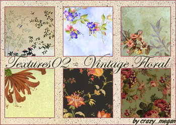 http://fc00.deviantart.com/fs14/i/2007/063/3/5/Textures02___Vintage_Floral_by_crazymegan.png