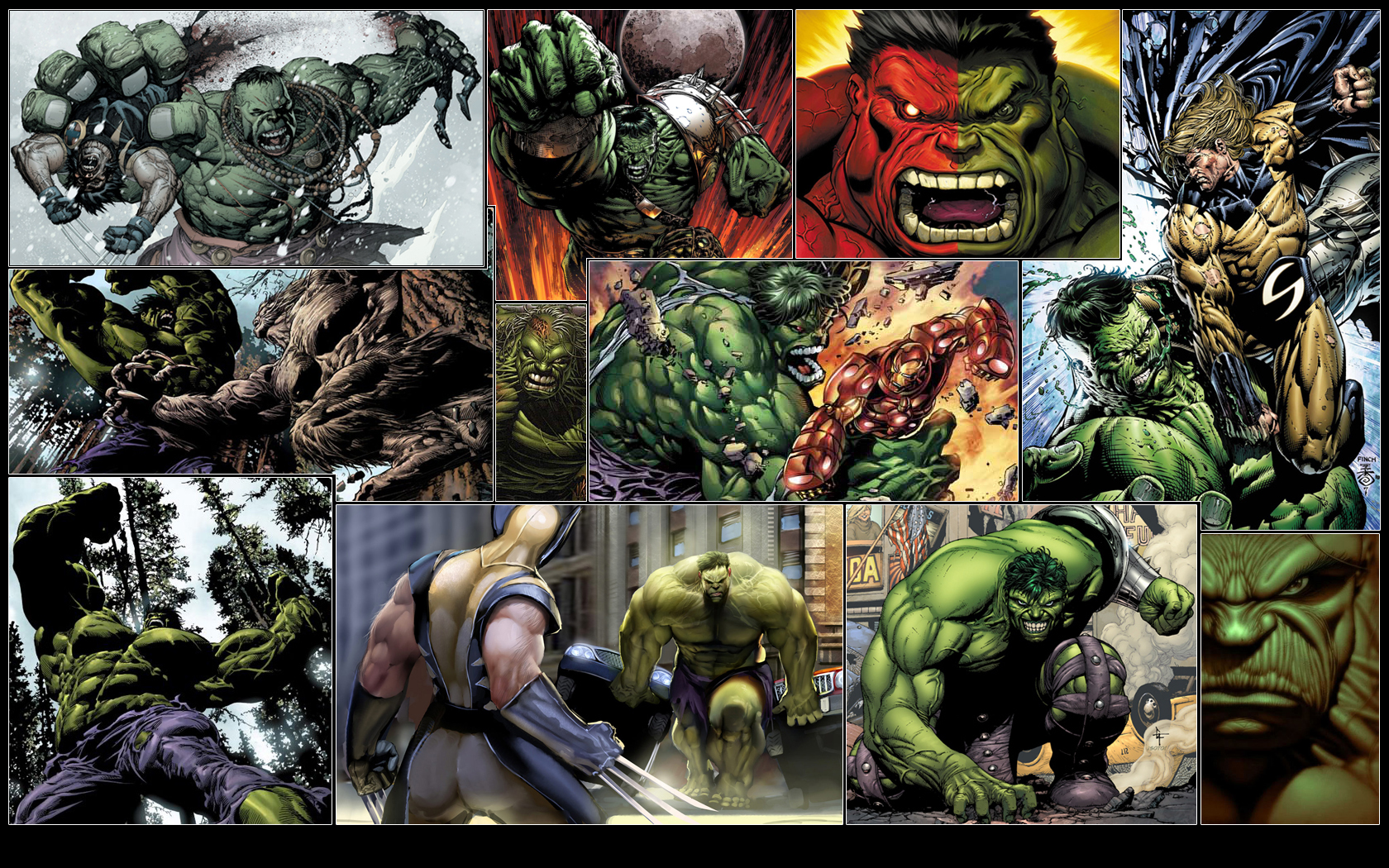 Hulk_Wallpaper_by_GT_Orphan.jpg